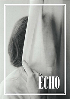 The Echo 2016