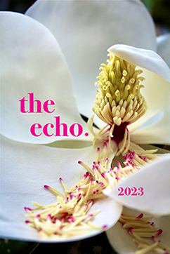 Close up color photograph of a Maganolia tree's flower with the words 