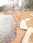 Complete reconstruction of bank by Wade Worthen